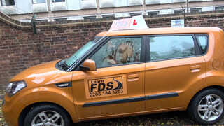 Fake Driving School cuki japán kisasszony kefélni akar