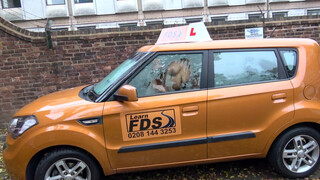 Fake Driving School latin cukicsaj gecit akar