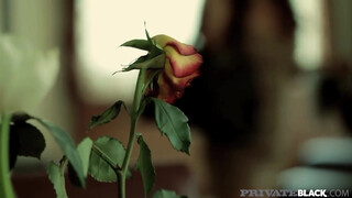 PrivateBlack - Angelica Heart popójába befér a néger örömrúd
