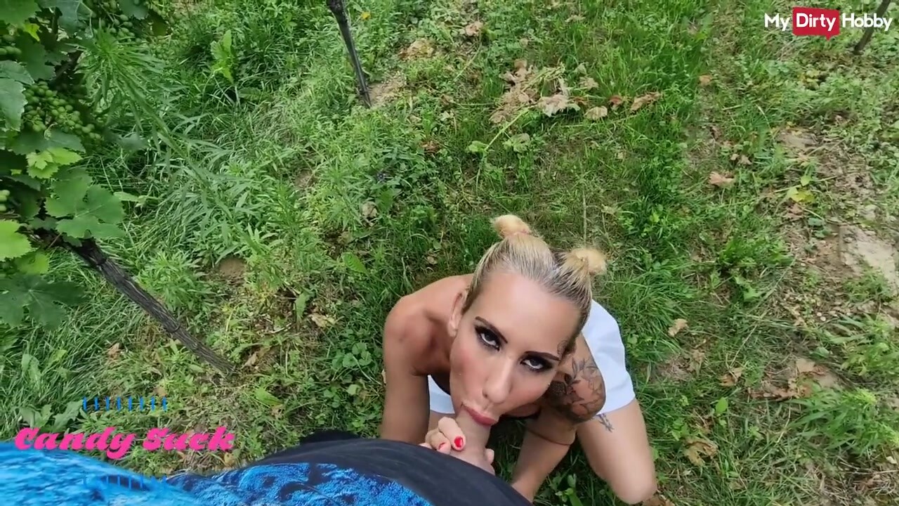 Candy szopogatja és megdugja a méretes fazsat a szőlősben